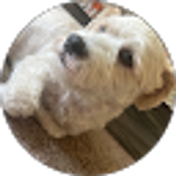 Profile photo of Victor Vasquez