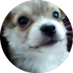 Profile photo of Damian D