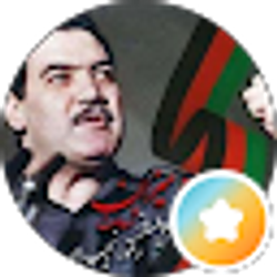 Profile photo of sayed muhajer