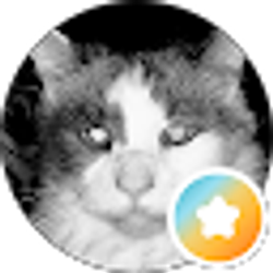 Profile photo of Carmelo “Melo” Viera