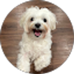 Profile photo of Jem Iwatsubo