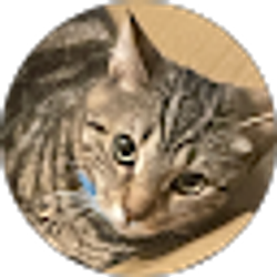 Profile photo of Justin titan