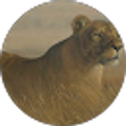 Profile photo of TERRI HARPER