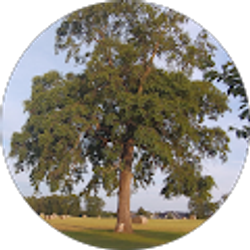 Profile photo of Alice Doup