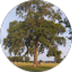 Profile photo of Alice Doup