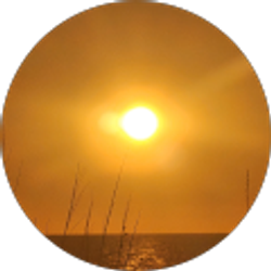 Profile photo of andrae barrett