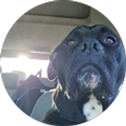 Profile photo of Taylor Radcliffe
