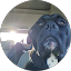 Profile photo of Taylor Radcliffe