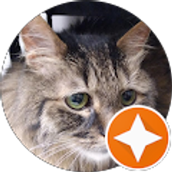 Profile photo of John Richardson