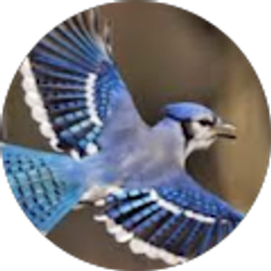 Profile photo of Gerardo Gonzalez