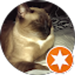 Profile photo of Sue Druan