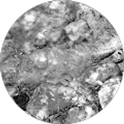 Profile photo of Krystal Morehead