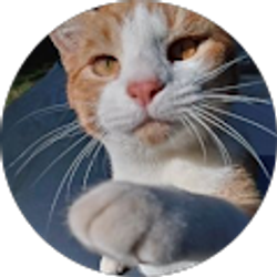 Profile photo of Jamie Hughes