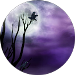 Profile photo of Brenda M