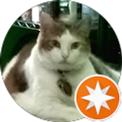 Profile photo of Annette Shaffer