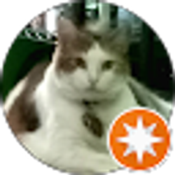 Profile photo of Annette Shaffer