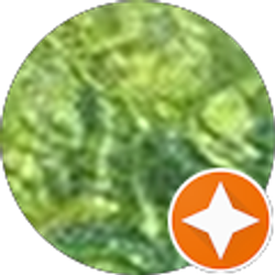 Profile photo of Kyong Pak