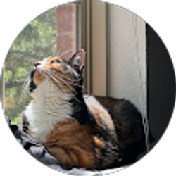 Profile photo of bobbie annj