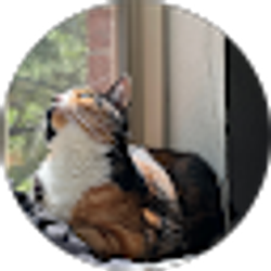 Profile photo of bobbie annj