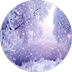 Profile photo of Rami Najm