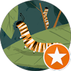 Profile photo of Pam Ostovar