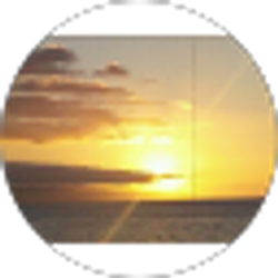 Profile photo of Kathy Eaton