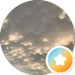 Profile photo of Nicole Thompson