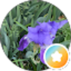 Profile photo of April