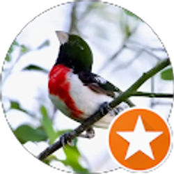 Profile photo of MAUREEN BOLING