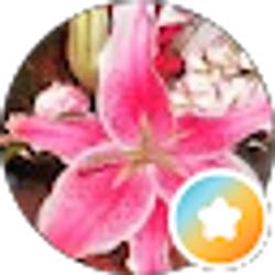 Profile photo of shasha Luve