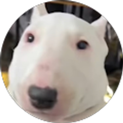 Profile photo of Callen