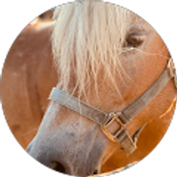 Profile photo of Estefani Candido