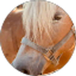 Profile photo of Estefani Candido