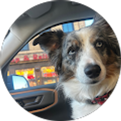 Profile photo of El Bee