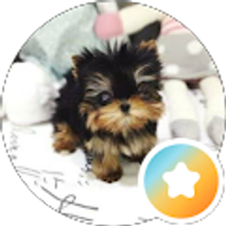 Profile photo of Esther Kim
