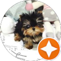 Profile photo of Esther Kim