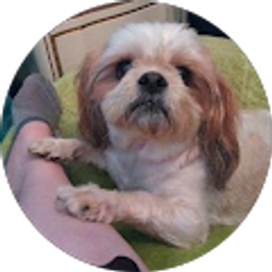 Profile photo of Jamie Alcantar