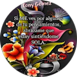 Profile photo of Yoloxochitl Lara