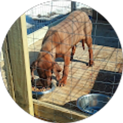 Profile photo of Mathew Middleton