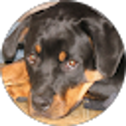 Profile photo of Joann Bedell