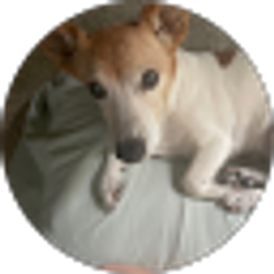 Profile photo of Dana