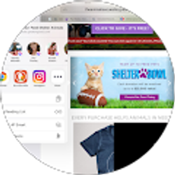 Profile photo of Lindette Bourne