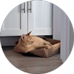 Profile photo of amber l