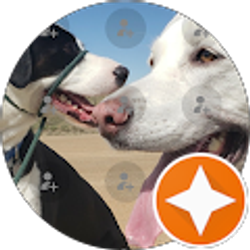 Profile photo of Supastaw Awesomeness