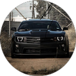 Profile photo of Willem McConnell