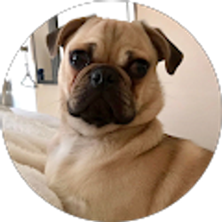 Profile photo of Amy Nguyen