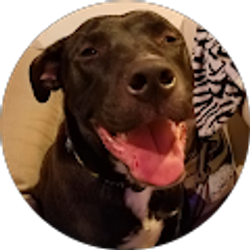 Profile photo of Sarah Snyder