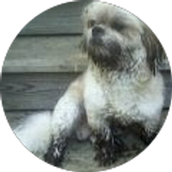 Profile photo of Diana Barker