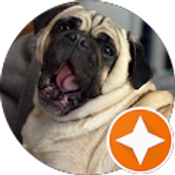 Profile photo of Jared Freitas