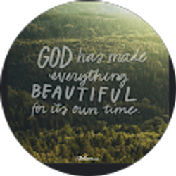 Profile photo of Mary Contreras